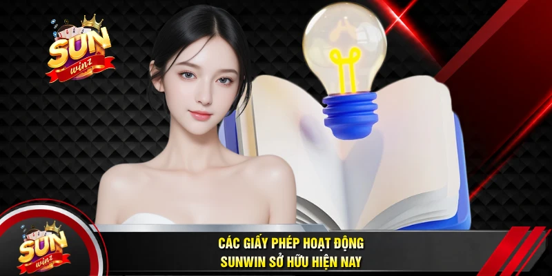 Các Giấy Phép Hoạt Động Sunwin Sở Hữu Hiện Nay